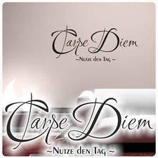 Carpe diem nutze gebraucht kaufen  Darmstadt