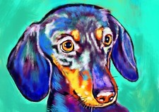 Dachshund art print for sale  NOTTINGHAM