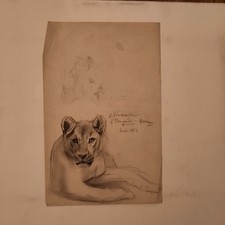 Dessin ancien animalier d'occasion  Paris XX