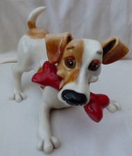 Arora design dog for sale  PEMBROKE DOCK