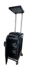Ultimate organization travel for sale  Plainfield