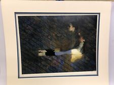 Sunlight robert heindel for sale  FROME