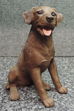 Castagna chocolate labrador for sale  Mount Prospect