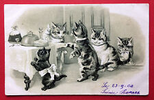 Prägedruck katze 1904 gebraucht kaufen  Dresden