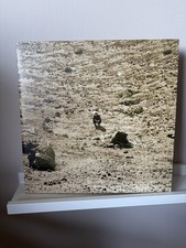 Ben howard noonday for sale  GLASGOW