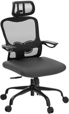ergonomic desk chairs for sale ergonomic desk chairs for sale Princeton