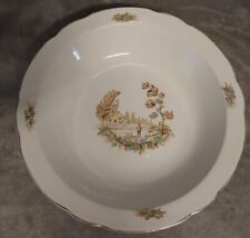 Plat creux vieux d'occasion  Wittenheim