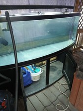 150 gallon fish for sale  Gwynn Oak