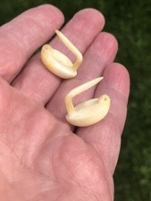 Inuit artifact gauged for sale  Florence