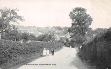 Wincanton west hill for sale  BEXHILL-ON-SEA