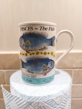 Dunoon pisces mug for sale  BATH
