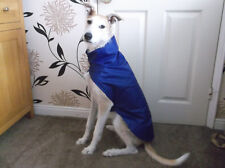 New lurcher large for sale  BATLEY