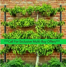 High quality heavy for sale  DUDLEY