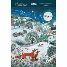 Traditional advent calendar for sale  LEIGHTON BUZZARD