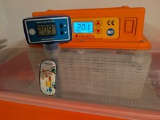 incubatrice covatutto usato incubatrice covatutto usato Ginestra