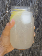 Kéfir de Agua BIO - Tíbicos - Nódulos -  Cristales de Kéfir - Cultivo vivo 20gr. comprar usado  Enviando para Brazil
