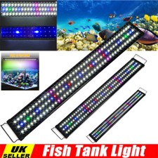 New aquarium fish for sale  HARLOW