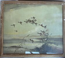 Vernon ward wild for sale  RAYLEIGH