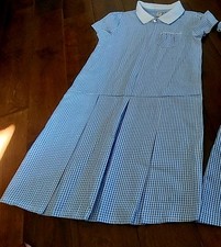 Girls school blue for sale  CARTERTON