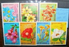 Rep. guinea fiori usato  Vicenza