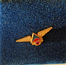 Delta airlines service for sale  Saint Paul