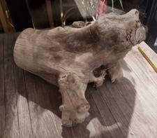 Treibholz schwemmholz 50cm gebraucht kaufen  Hilden