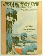 1926 bird eye for sale  Holland