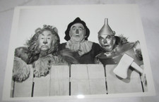 photo wizard oz for sale photo wizard oz for sale Mesa