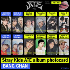 Cartão fotográfico Stray Kids comeu letra limitada álbum acordeão cartão labial BangChan, usado comprar usado  Enviando para Brazil
