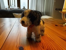 Steiff hund cokie gebraucht kaufen  Greifswald-Alte Stadtteile