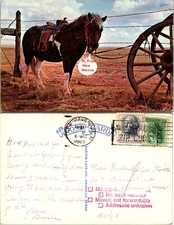 Cartão postal de roda de cavalo e carroça Hi do Novo México quase perfeito comprar usado  Enviando para Brazil