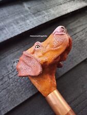 Trigger hungarian vizsla for sale  HYDE