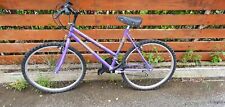 Bici bicicletta donna usato  Collesalvetti