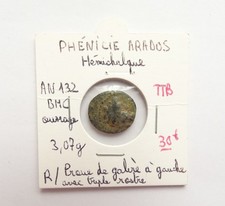 Hémichalque phénicie arados d'occasion  Auxerre