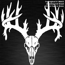 Buck deer antlers for sale  Ruidoso