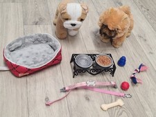 chow chow puppies for sale chow chow puppies for sale AYLESBURY