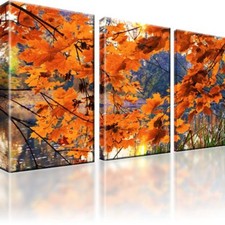 Herbst jahreszeit wald gebraucht kaufen  Deutschland
