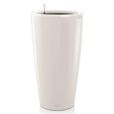 Tall large indoor for sale Tall large indoor for sale  EVESHAM