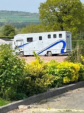 Iveco horse box for sale  TARPORLEY