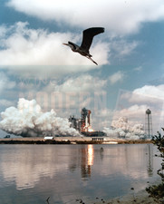 Space shuttle take for sale  BRIDGWATER
