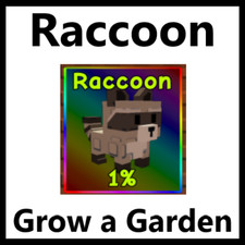 Raccoon pet grow d'occasion  Expédié en Belgium