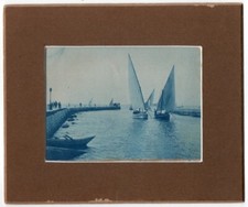Photo cyanotype 1900 d'occasion  Avignon