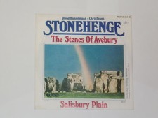Stonehenge the stones gebraucht kaufen  Potsdam