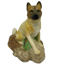 Charmstone american akita for sale  Monroe