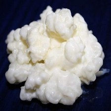 40g milk kefir d'occasion  Expédié en France