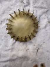 beta r10 usato  Viterbo