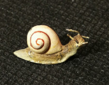 Wiener bronze schnecke gebraucht kaufen  Enger