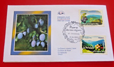 Fdc 1er jour d'occasion  Vallon-Pont-d'Arc
