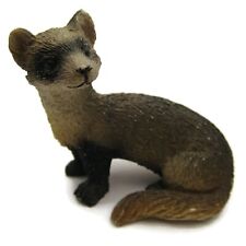 Black footed ferret for sale  Lakewood