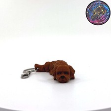 cute labradoodle pups for sale  Las Vegas